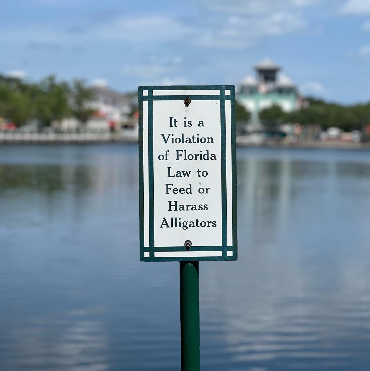 Read more about the article Florida