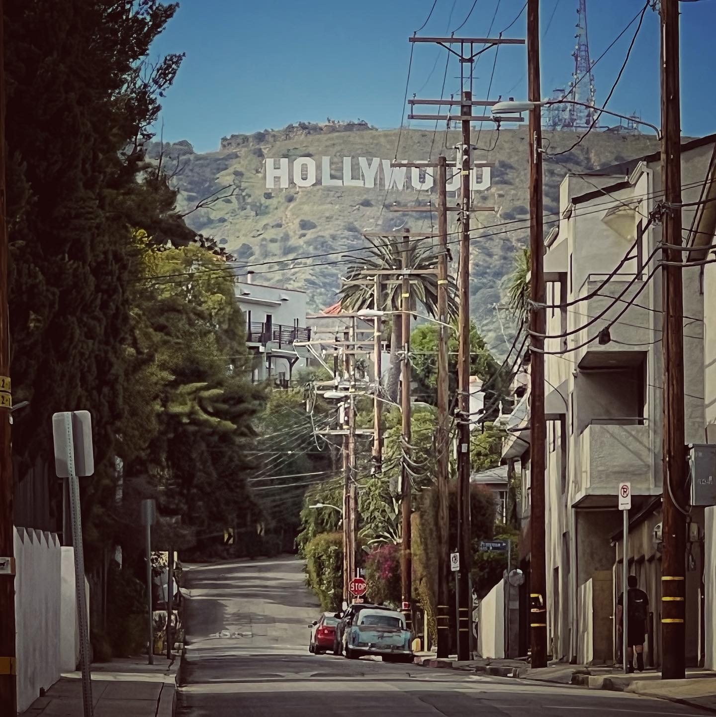 Read more about the article Everything is better in LA