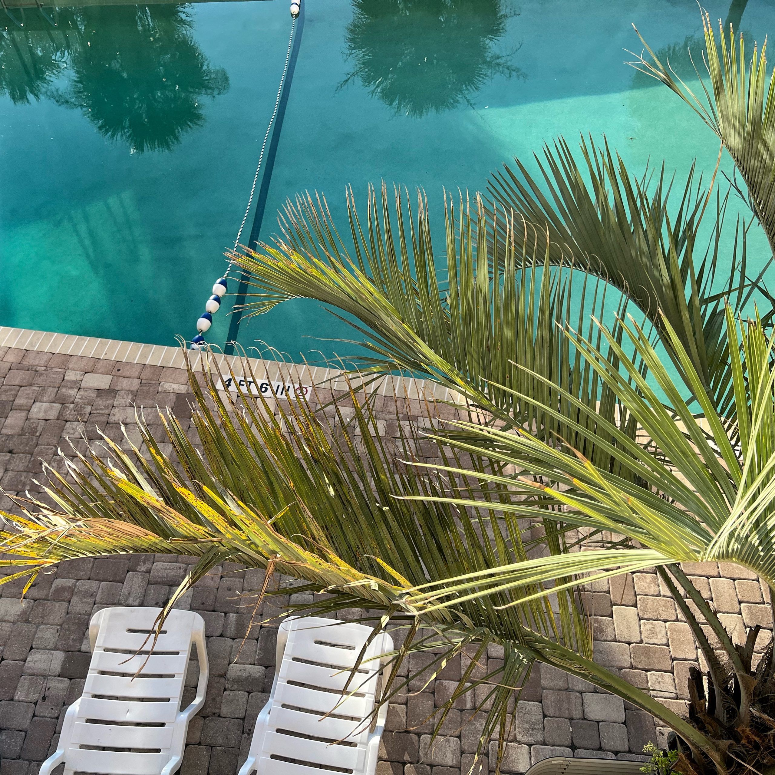 Read more about the article Florida & South Carolina workweek