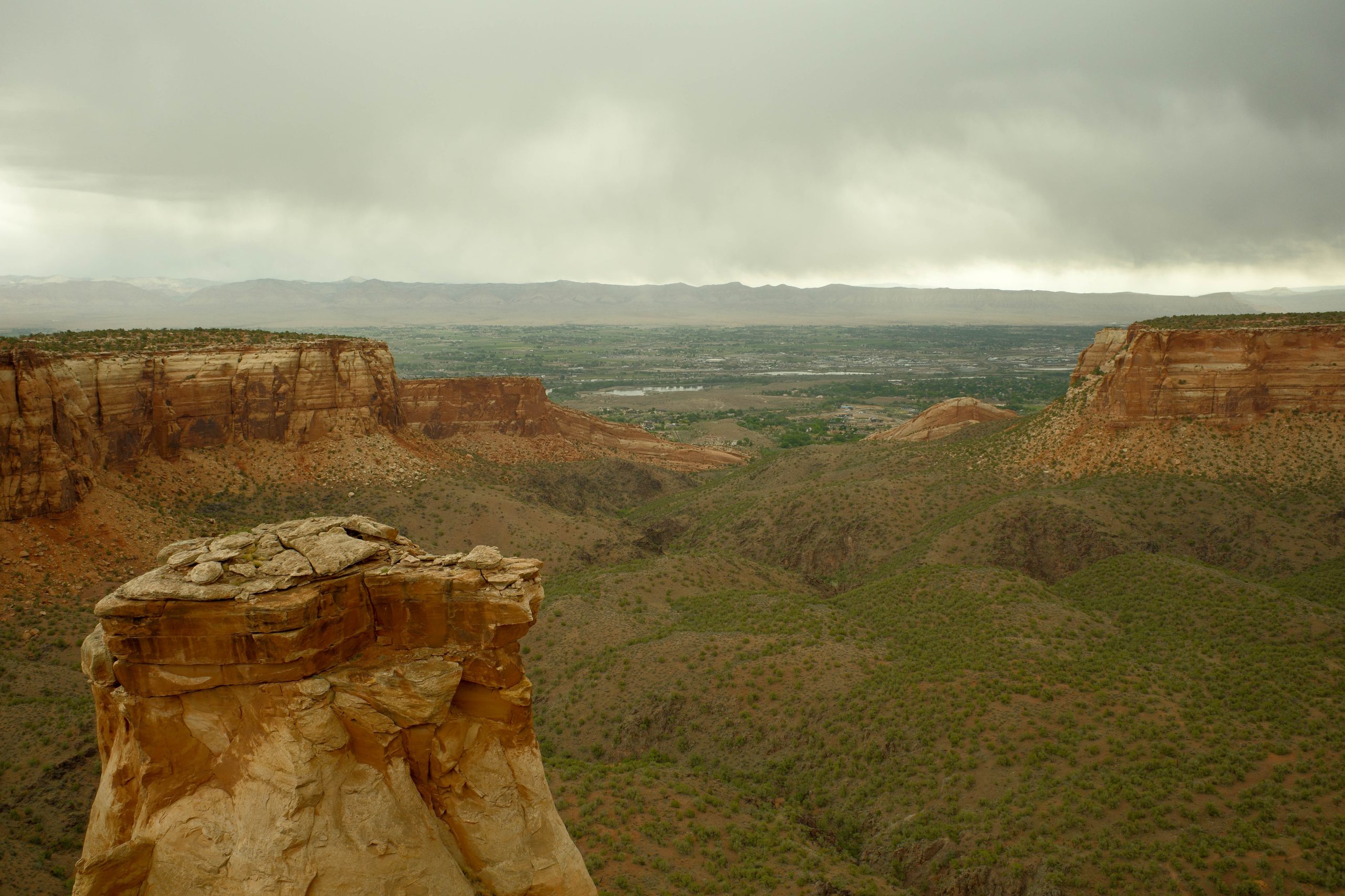 Read more about the article Colorado Whirlwind