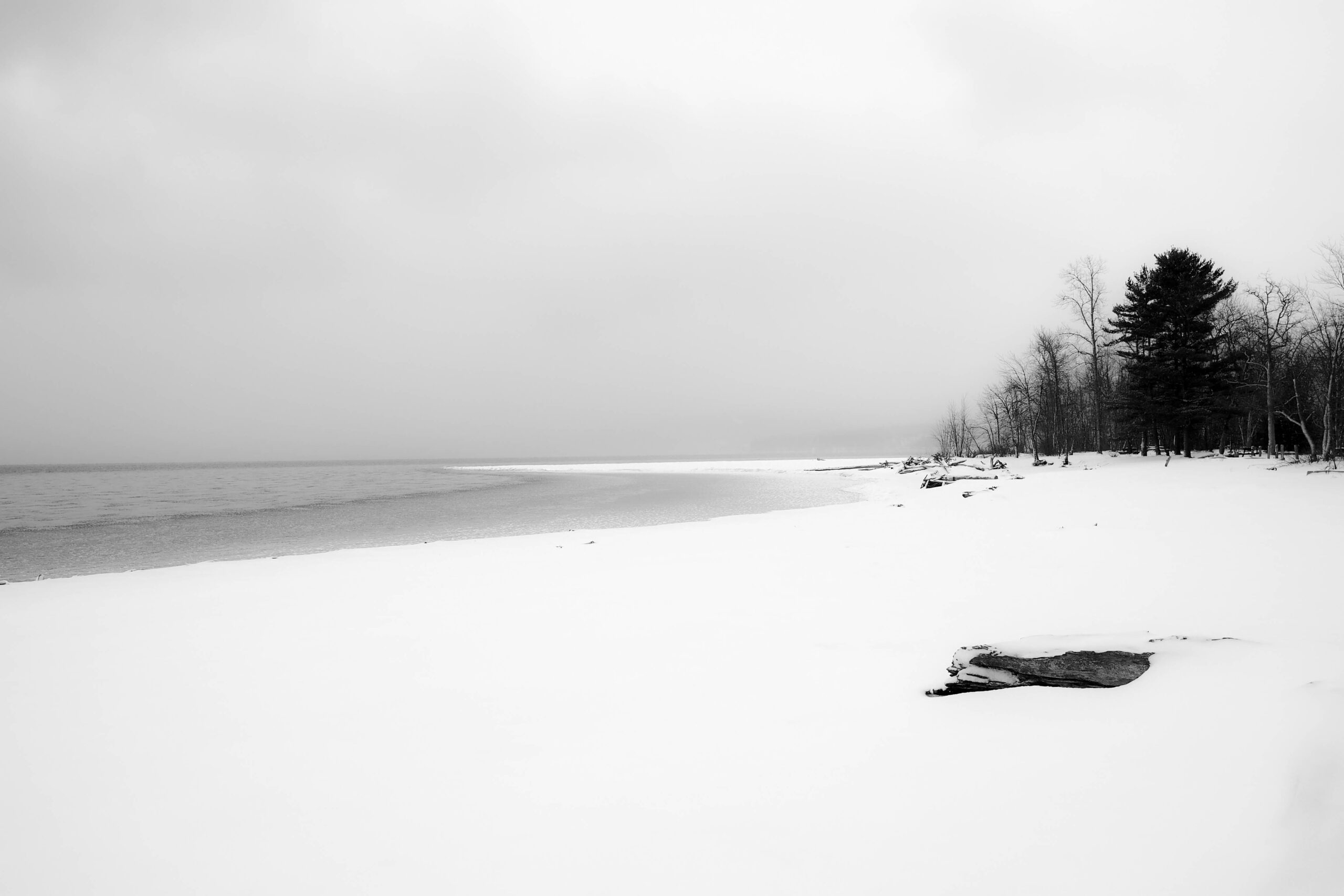 You are currently viewing 2026 Arrives with an Arctic blast