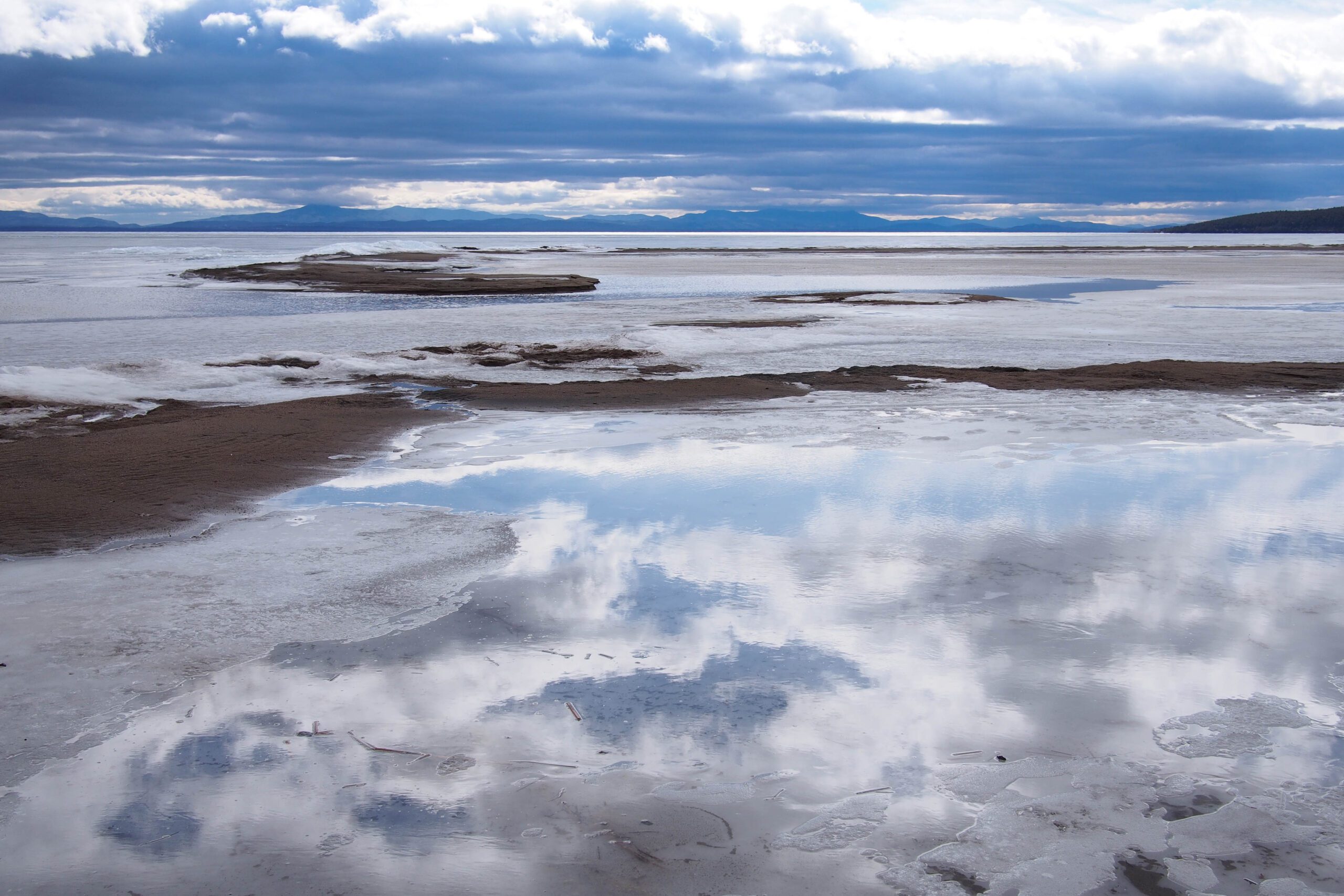 You are currently viewing First Signs the Ice is Melting