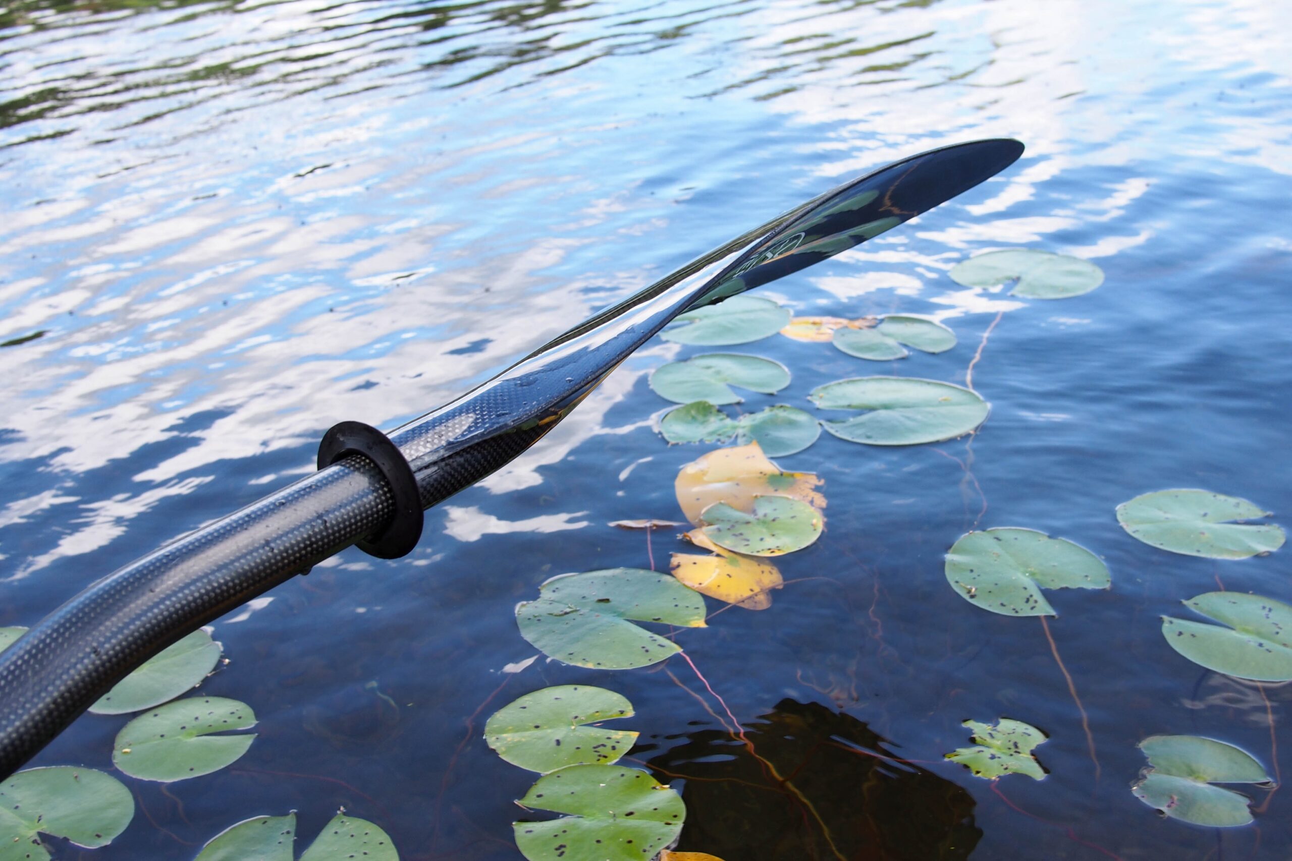 Read more about the article Canoeing on Little Clear Pond